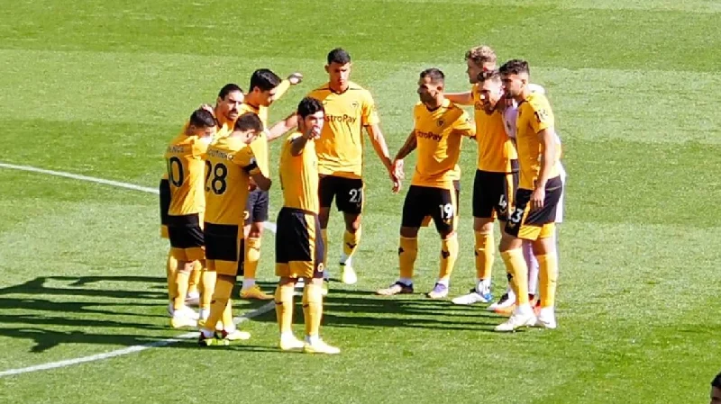 Performa Terbaru Wolverhampton (Team Form)