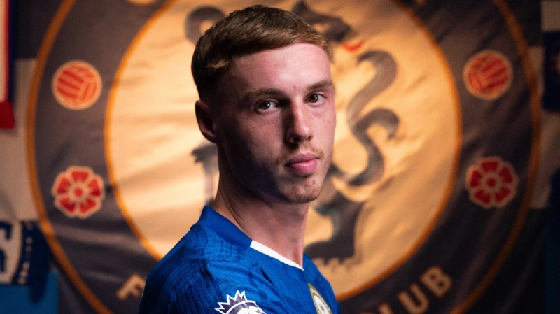 Alasan Potensial Kepindahan Palmer