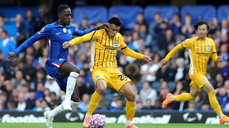 Prediksi Skor Brighton vs Chelsea